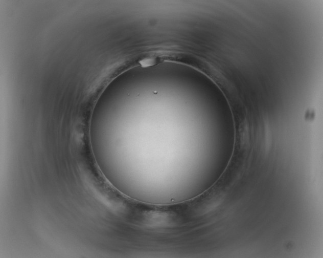 X0000113330255200909141434