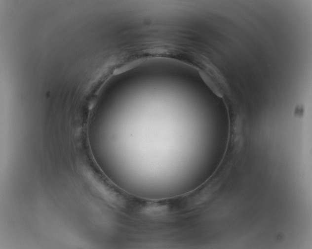 X0000113330257200909141434