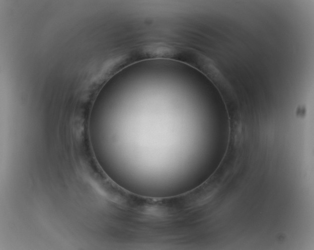 X0000113330259200909141434