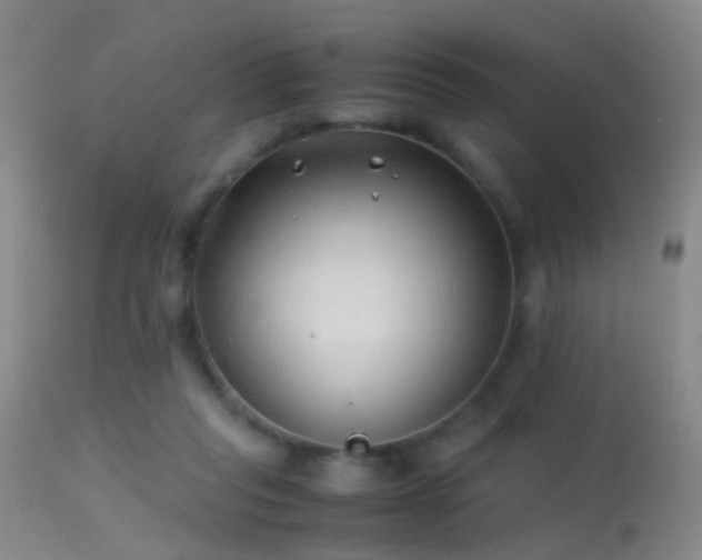 X0000113330261200909141434