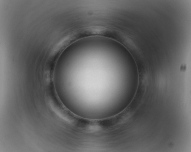 X0000113330262200909141434