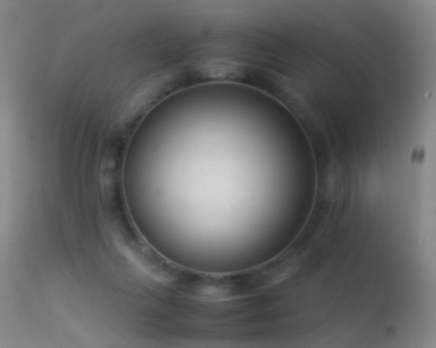 X0000113330263200909141434