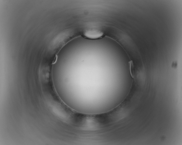 X0000113330264200909141434