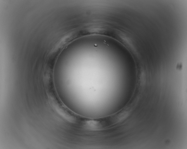 X0000113330265200909141434