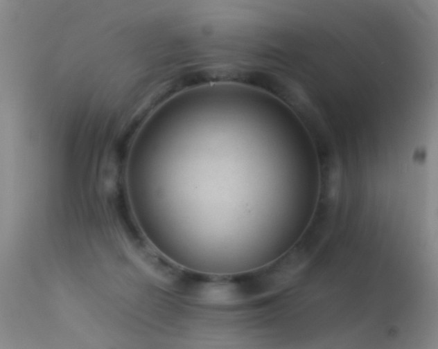 X0000113330266200909141434