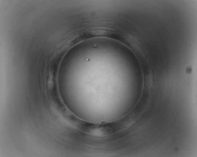 X0000113330267200909141434
