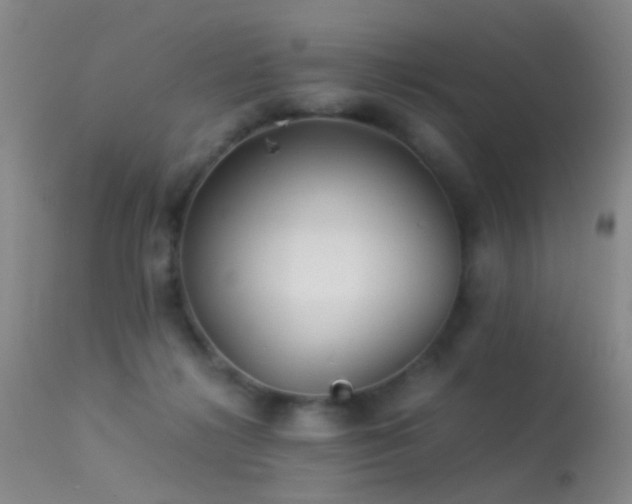 X0000113330268200909141434