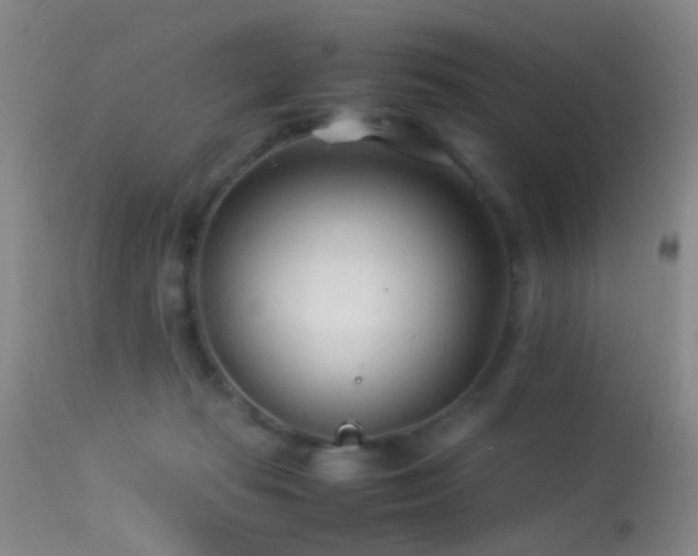 X0000113330269200909141434