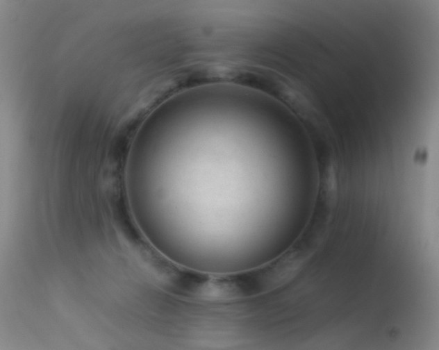 X0000113330270200909141434
