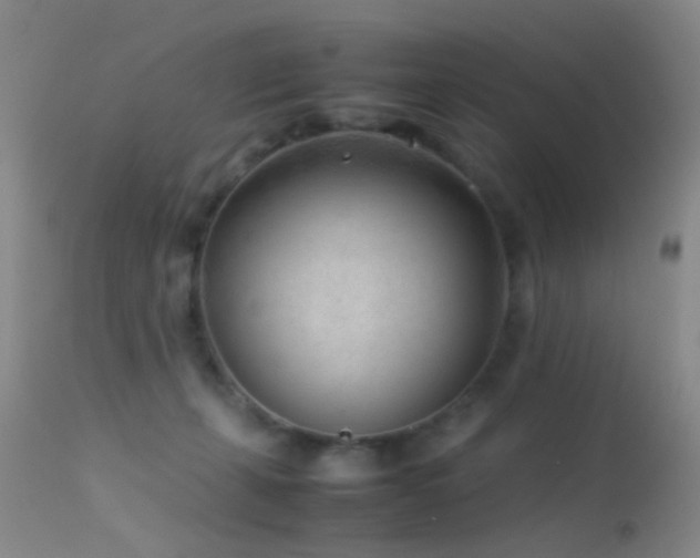 X0000113330271200909141434