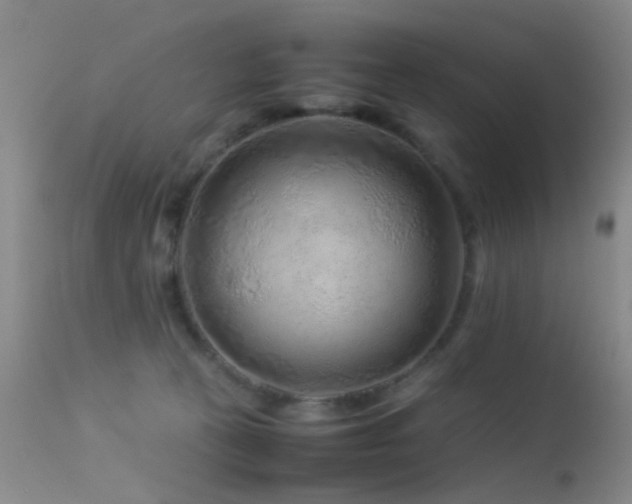 X0000113330273200909141434