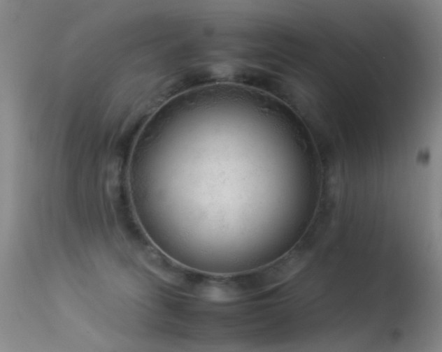 X0000113330275200909141434