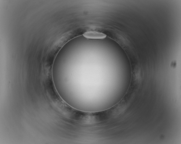 X0000113330276200909141434