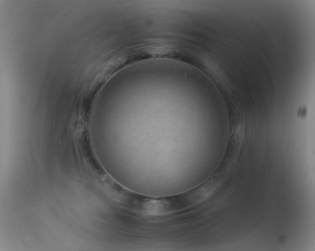 X0000113330277200909141434
