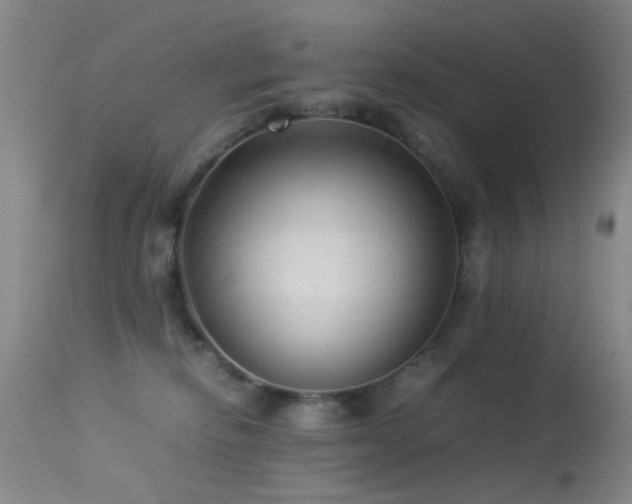 X0000113330278200909141434