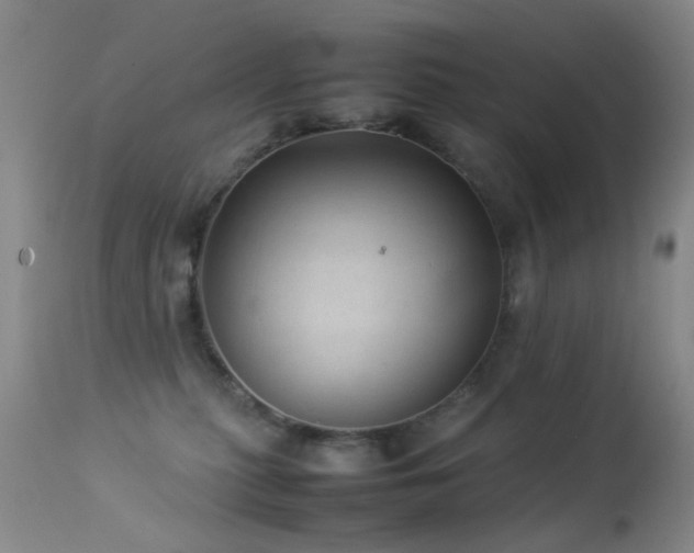 X0000113330279200909141434