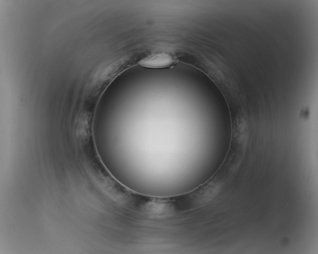 X0000113330280200909141434