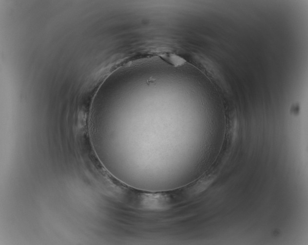X0000113330281200909141434