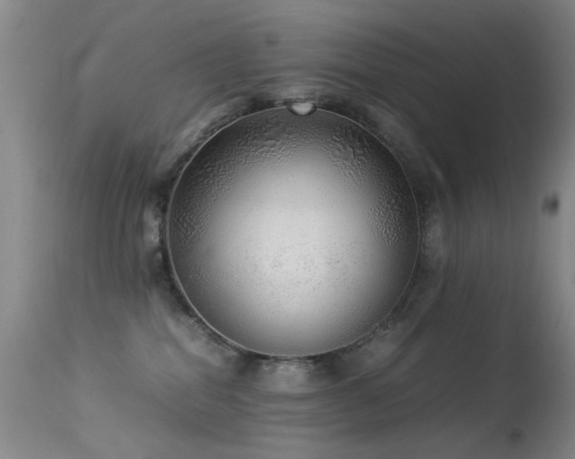 X0000113330282200909141434