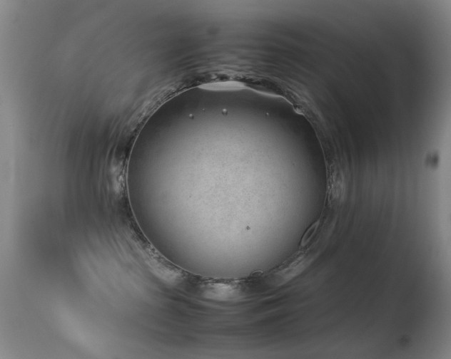 X0000113330285200909141434