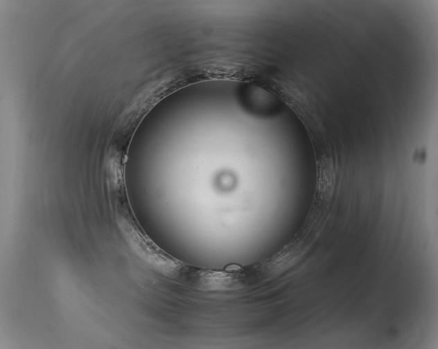 X0000113330287200909141434