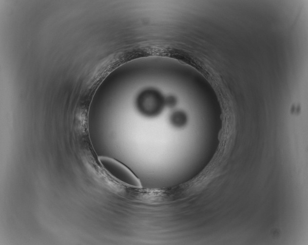 X0000113330288200909141434
