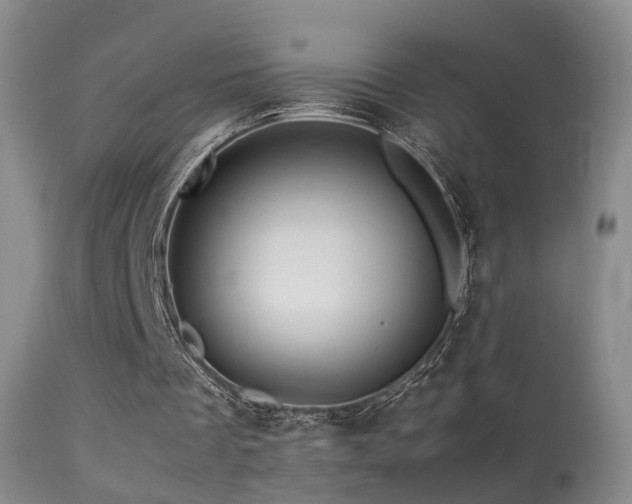 X0000113330289200909141433