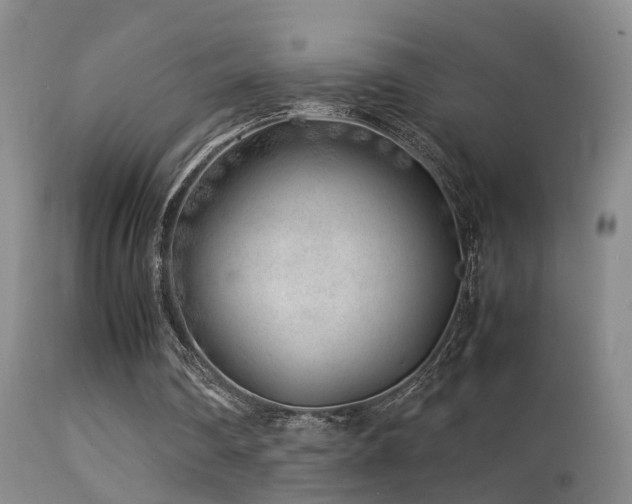 X0000113330290200909141433