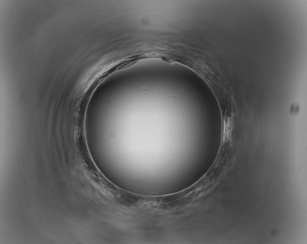 X0000113330291200909141433