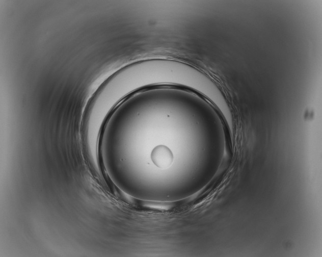 X0000113330292200909141433