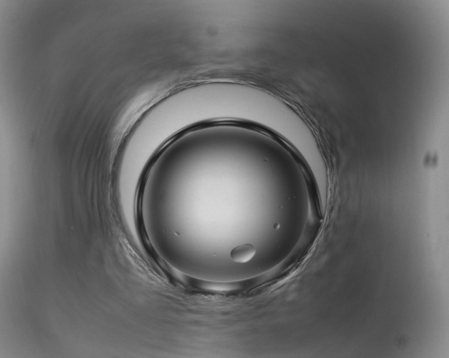 X0000113330293200909141433