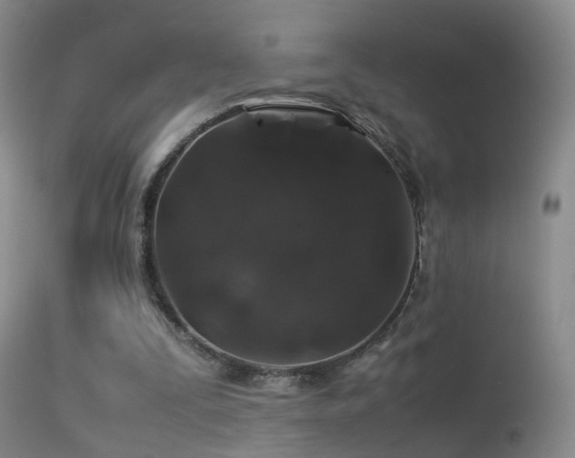 X0000113330295200909141433
