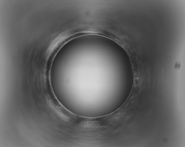 X0000113330296200909141433
