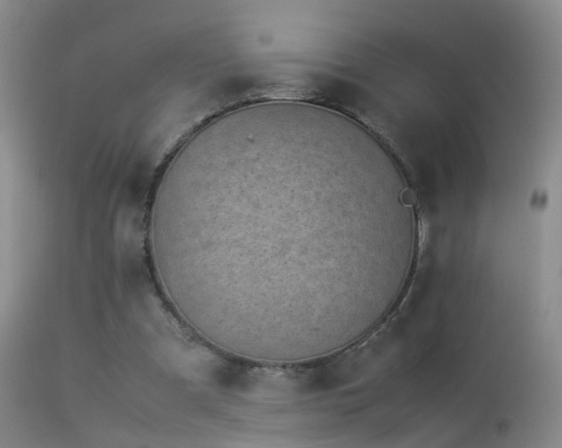 X0000113330297200909141433