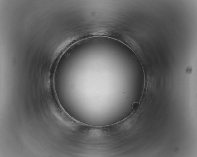 X0000113330298200909141433