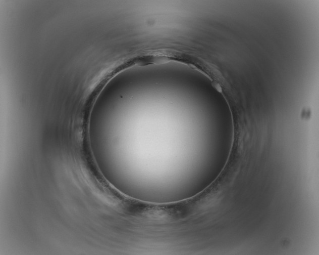 X0000113330299200909141433