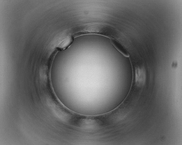 X0000113330300200909141433