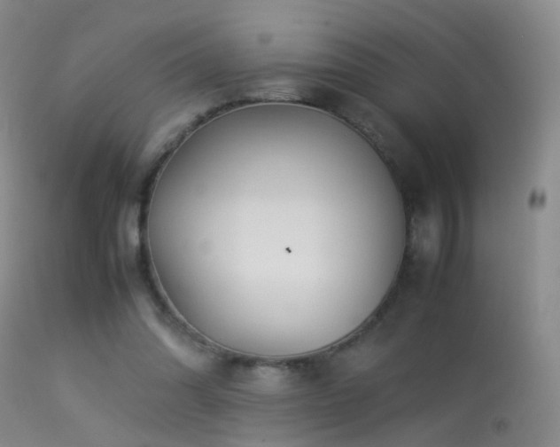 X0000113330302200909141433