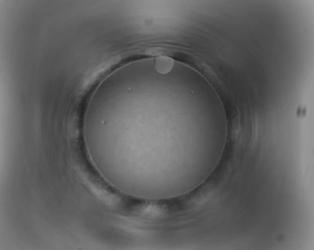 X0000113330303200909141433
