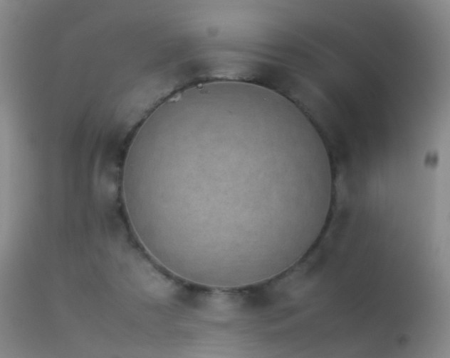 X0000113330305200909141433