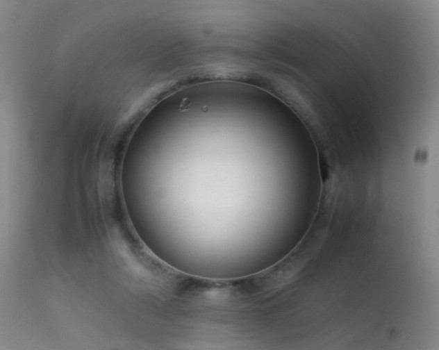 X0000113330306200909141433