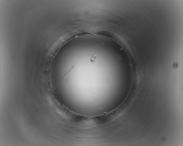 X0000113330307200909141433