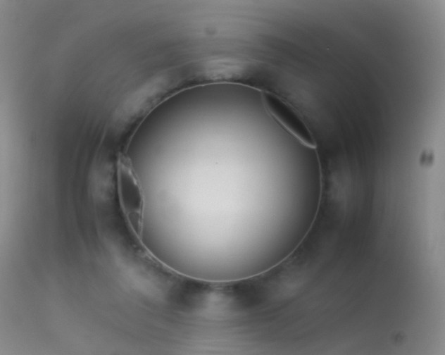 X0000113330308200909141433