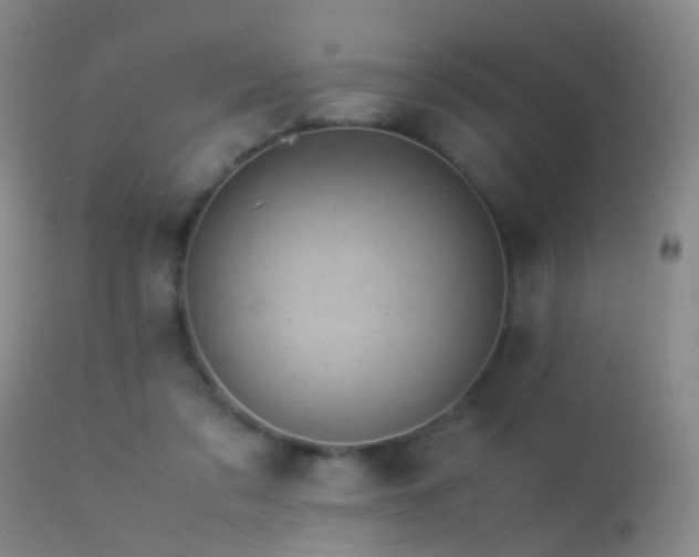 X0000113330309200909141433