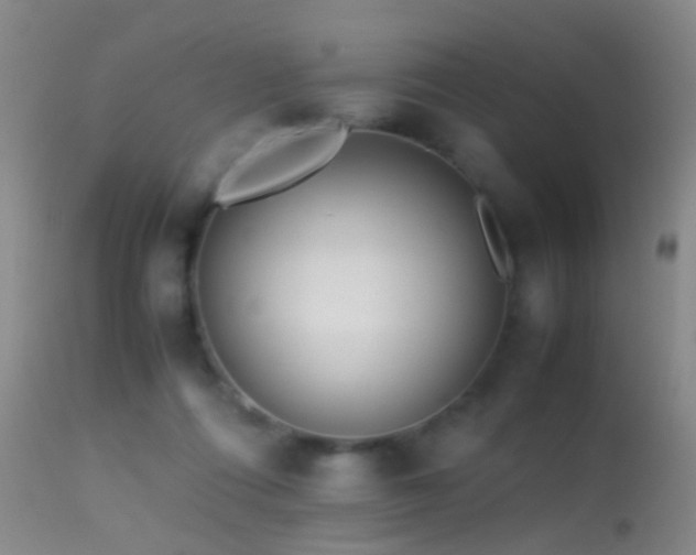 X0000113330312200909141433