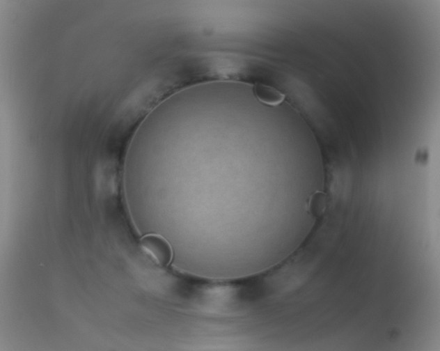 X0000113330313200909141433