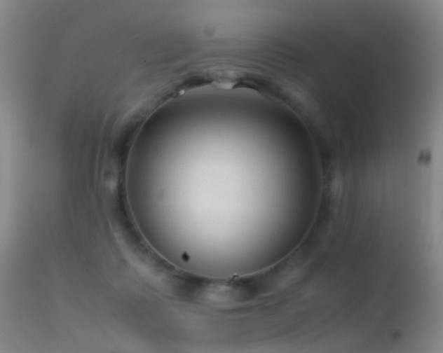 X0000113330315200909141433
