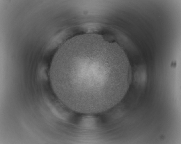 X0000113330316200909141433
