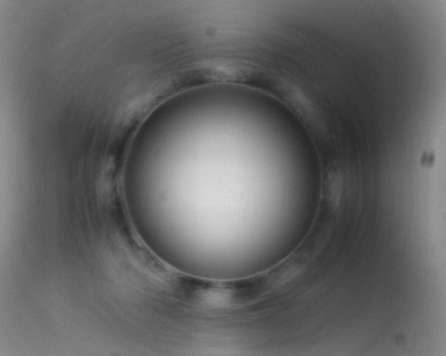 X0000113330318200909141433
