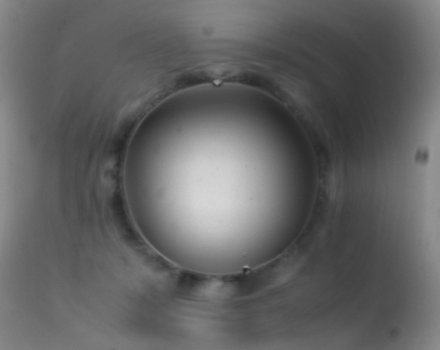 X0000113330319200909141433